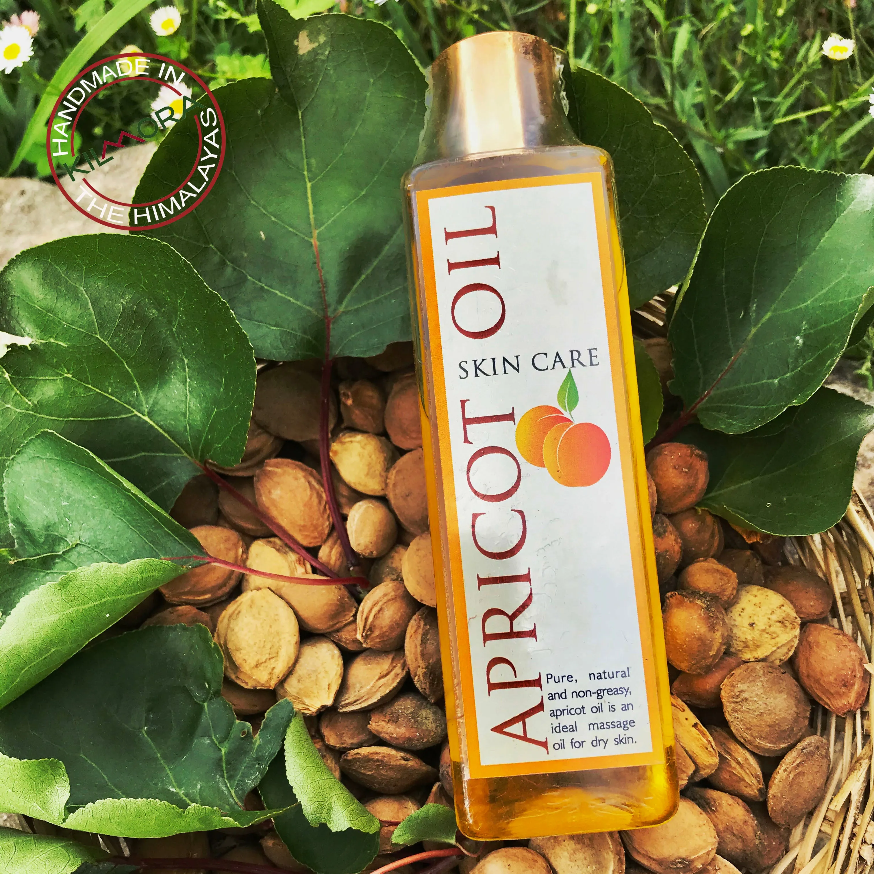 Apricot Body Oil