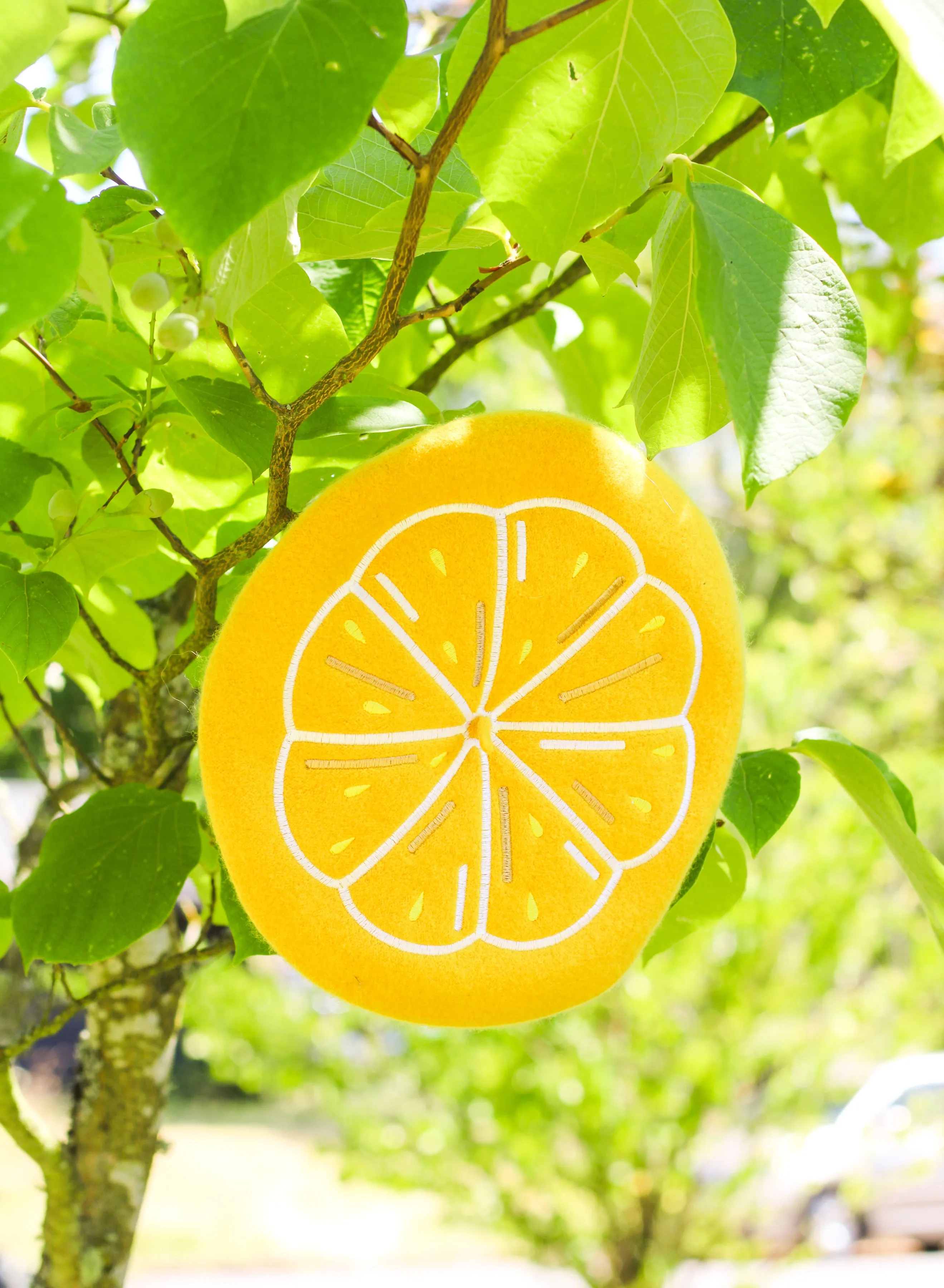 Citrus Slice Embroidered Beret!